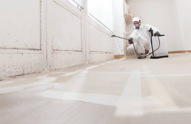24/7 Emergency Mold Remediation experts in Henderson, KY