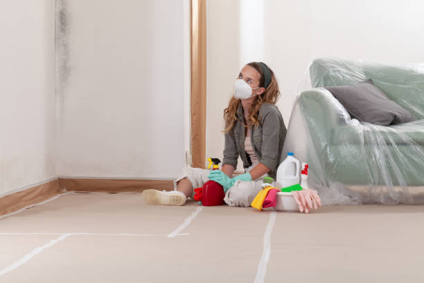 Reliable Mold Remediation contractor in Henderson, KY by 24 Hour Mold Removal